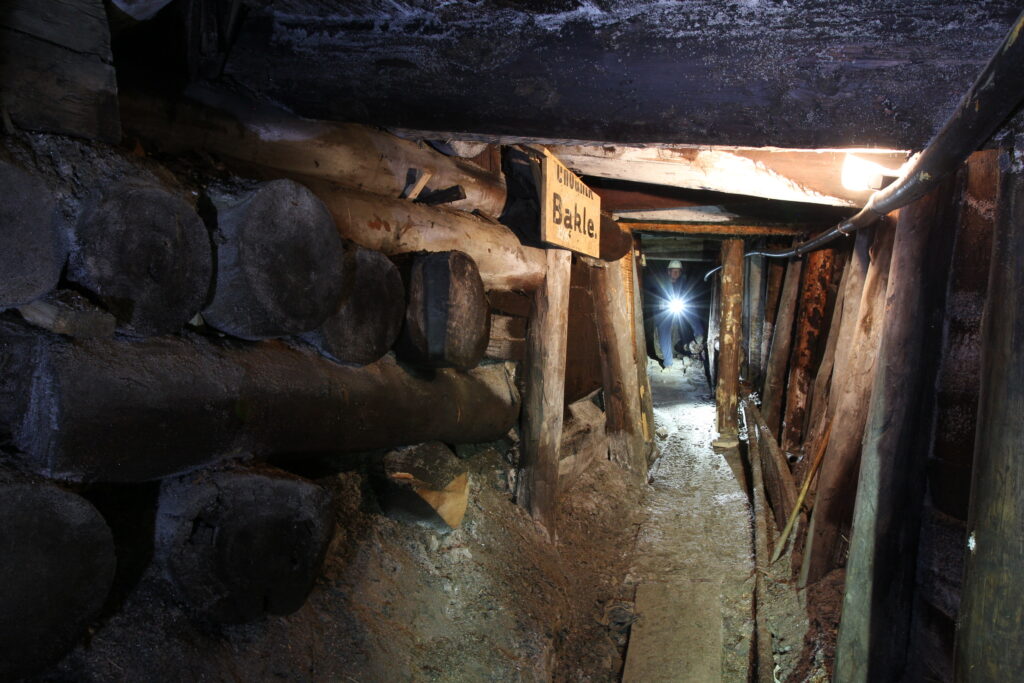 Bąkle na poziomie I w Kopalni Soli „Wieliczka”