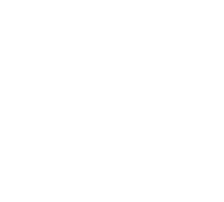 wieliczka logo białe