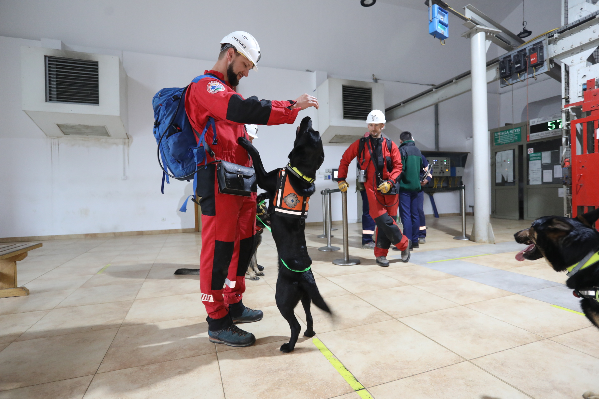 Przed zjazdem. Nadszybie szybu św. Kingi. Ratownik GOPR w czerwonym kombinezonie, z niebieskim plecakiem bawi się swoim psem - czarnym labradorem, który stara się dosięgnąć uniesionej dłoni opiekuna