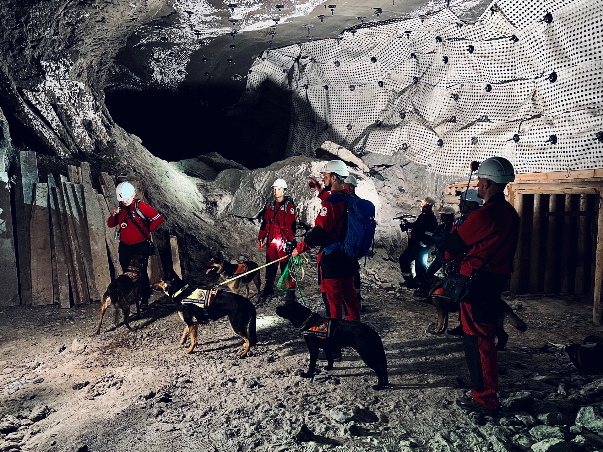 Ratownicy z psami na smyczach w podziemnej solnej komorze