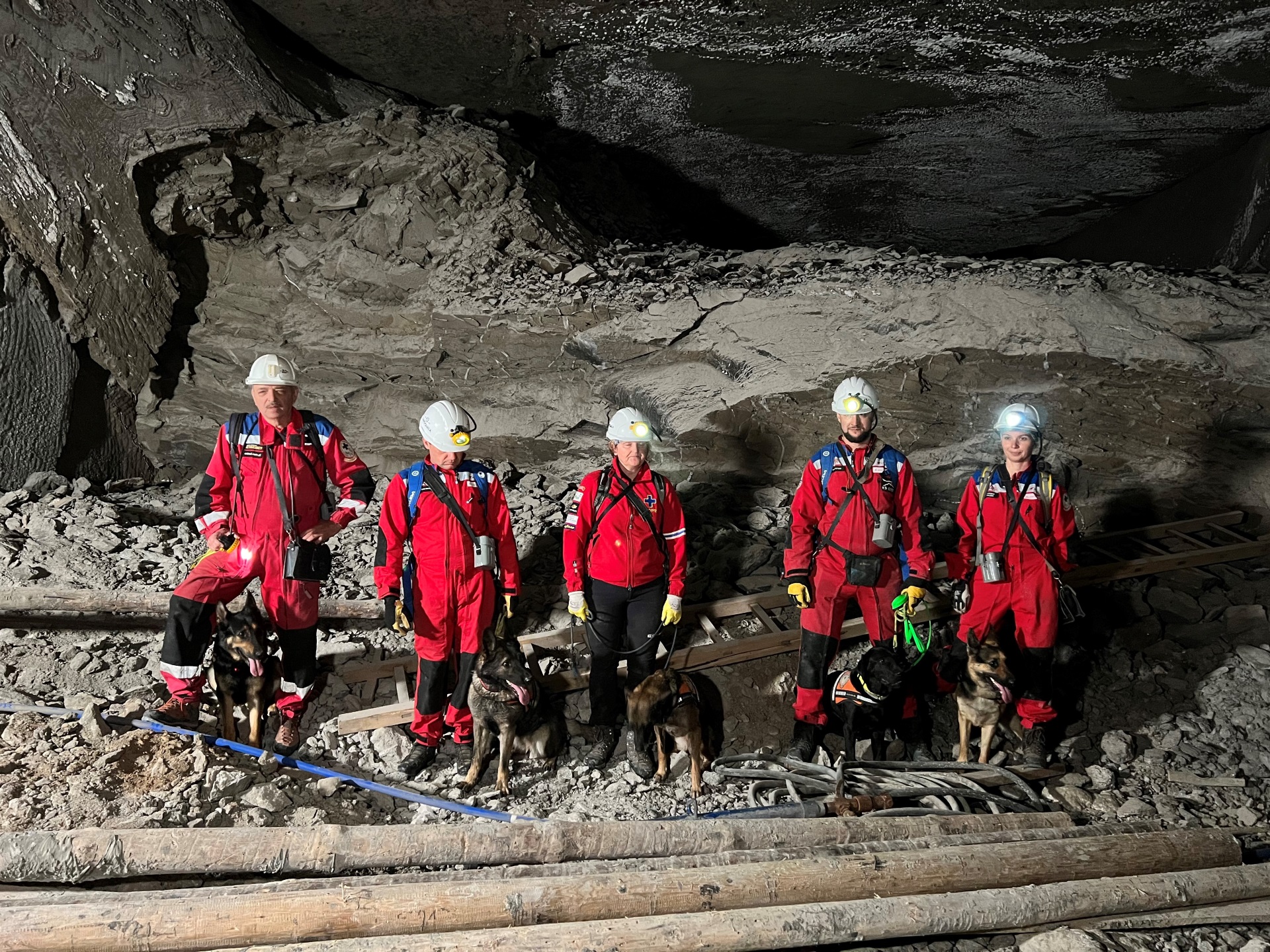 Pamiątkowe zdjęcie - pięcioro ratowników i ich psy