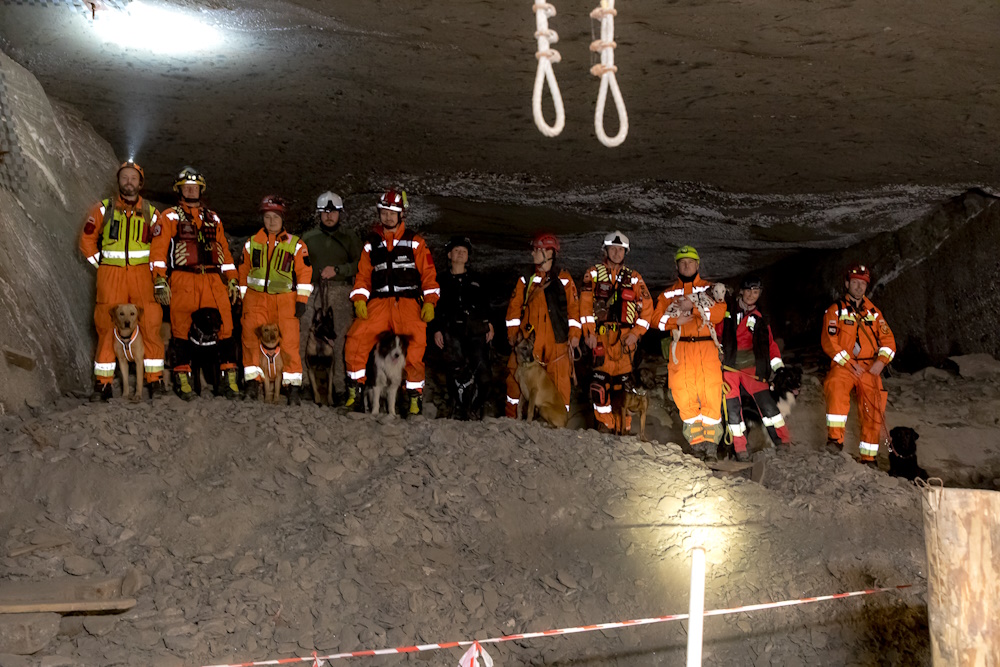 Pamiątkowe zdjęcie uczestników treningu: ratowników i psów