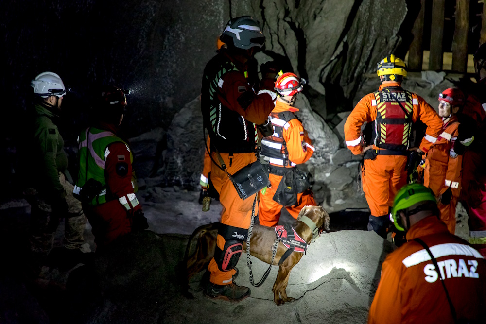 Grupa ratowników i psów ćwiczących pod ziemią