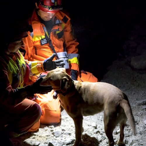 Podziemny trening psów ratowniczych