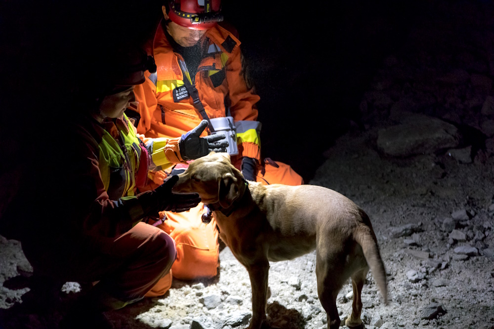 Pies i dwóch strażaków