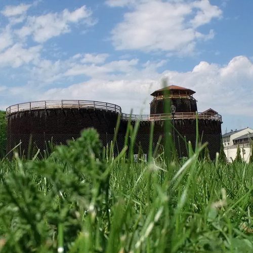 Ekopiknik w tężni solankowej